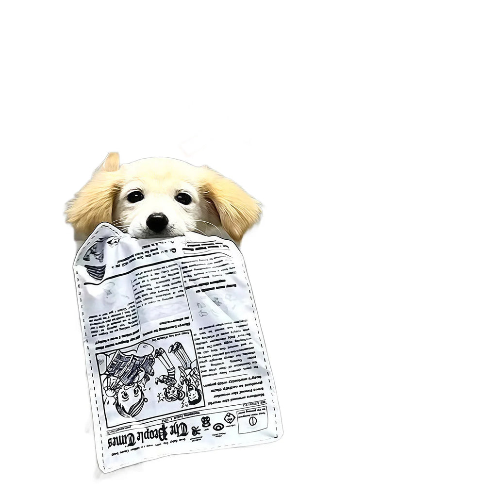 3 pieces Dog toys are durable, chew-relieving, dull-sounding newspaper toy for teddy and corgi, small to medium pet supplies