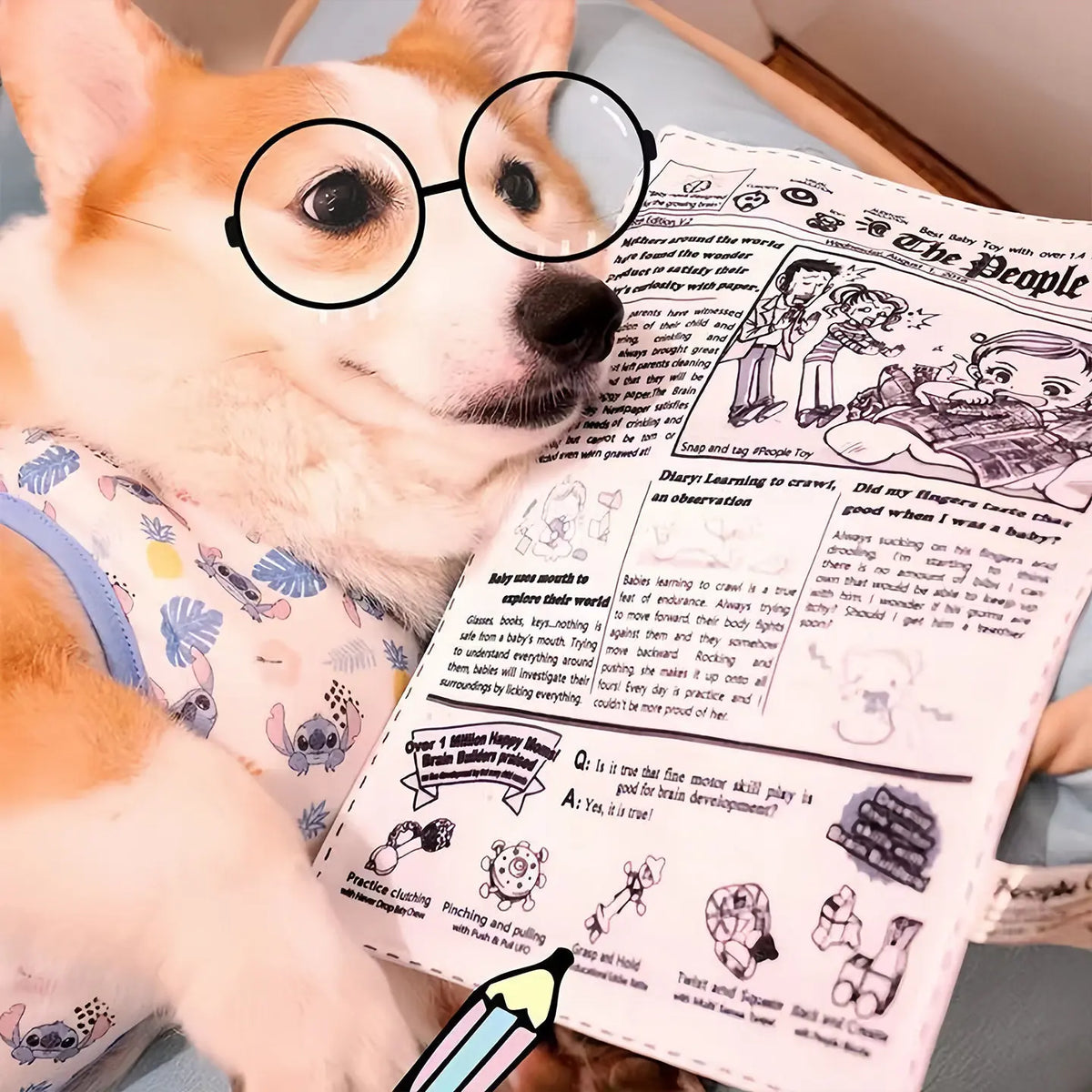 3 pieces Dog toys are durable, chew-relieving, dull-sounding newspaper toy for teddy and corgi, small to medium pet supplies